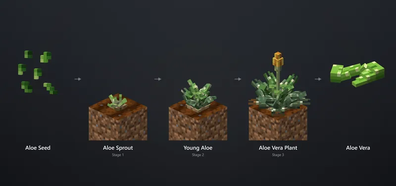 Aloe vera on BlockNation: seed, three growth stages and the aloe it drops