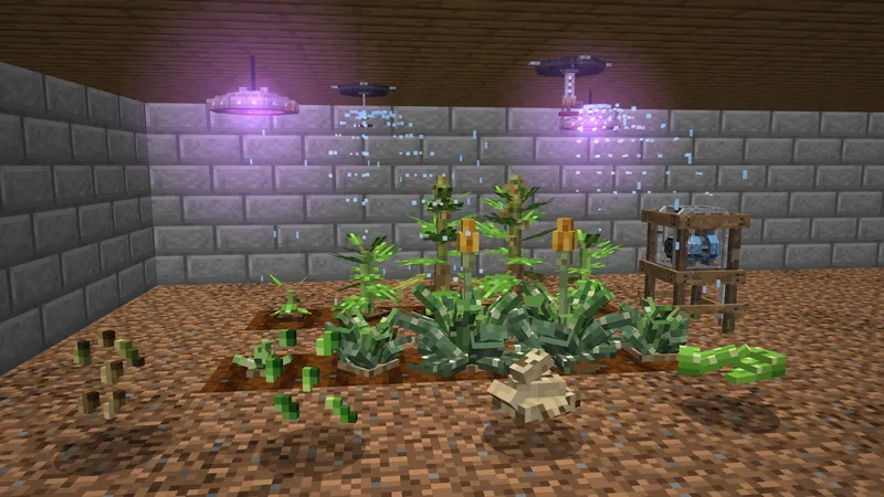An indoor hemp and aloe farm under purple grow lights, with a water pump and sprinklers