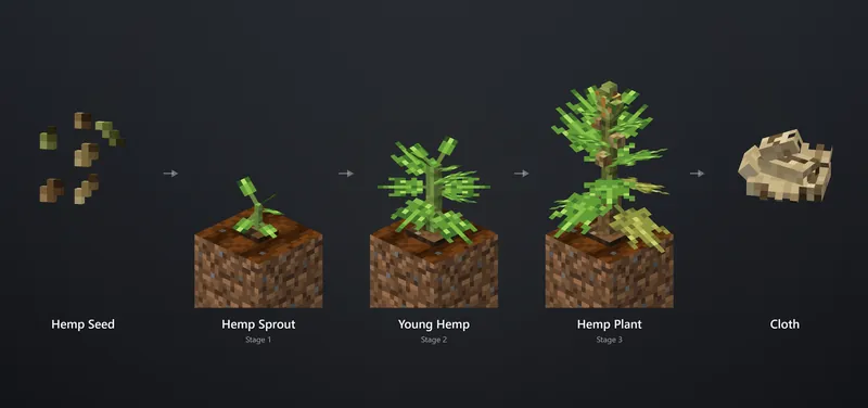 Hemp on BlockNation: seed, three growth stages and the cloth it drops